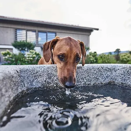 Hof Hauserbichl Daire