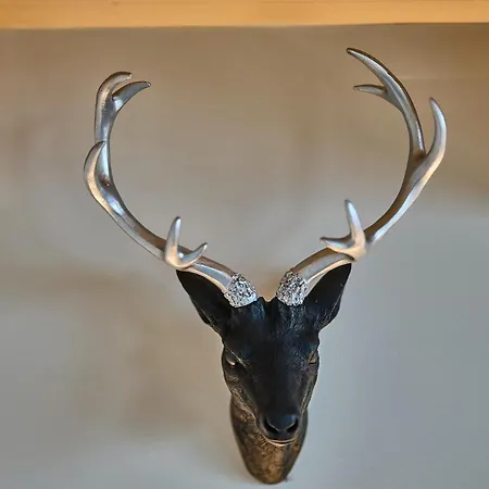 Hof Hauserbichl * Fischbachau