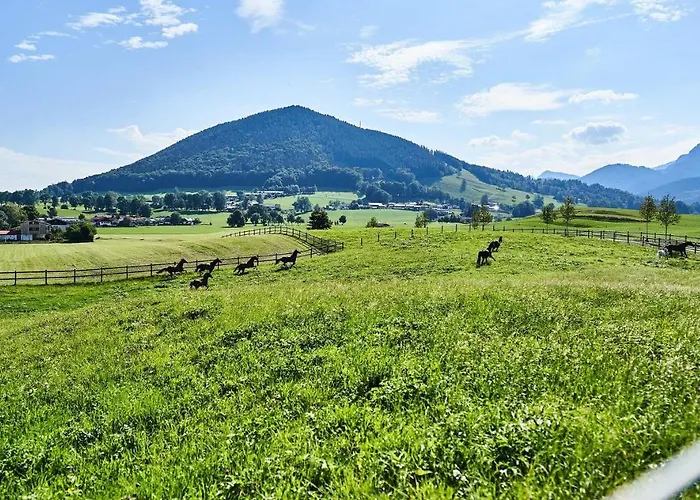 Hof Hauserbichl *