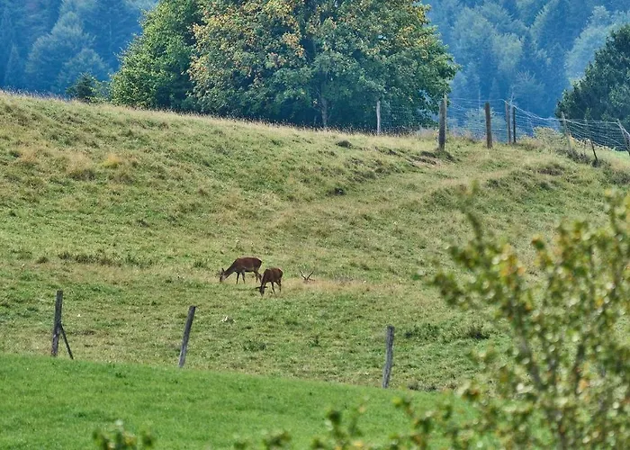 Hof Hauserbichl *