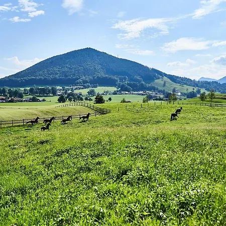 Hof Hauserbichl *