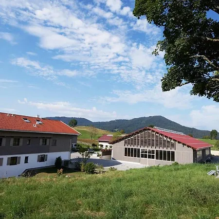 Hof Hauserbichl 아파트 *