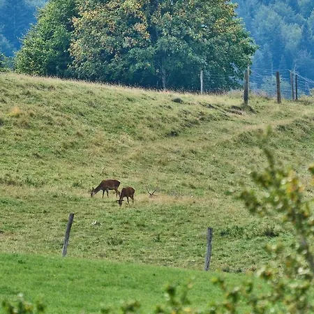 Hof Hauserbichl *